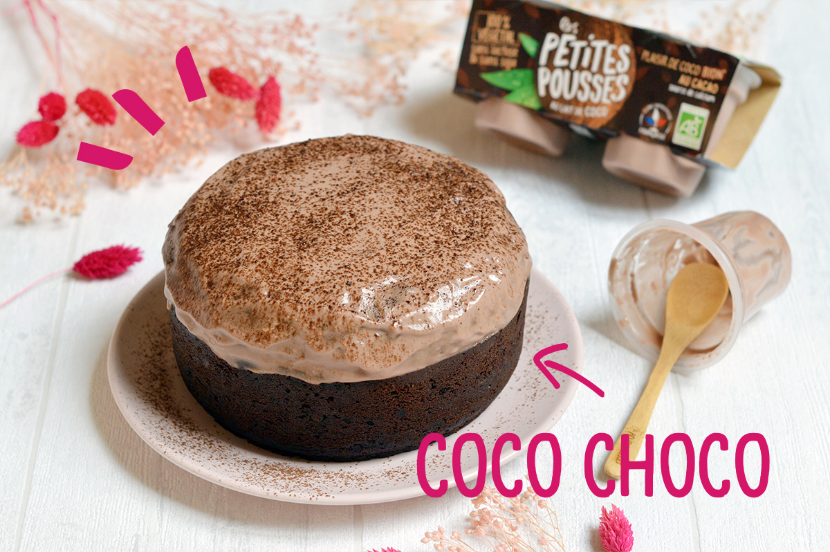 Recette Gateau Choco Coco Vegetal Sans Lactose Le Vrai Faux Yaourt Vegetal